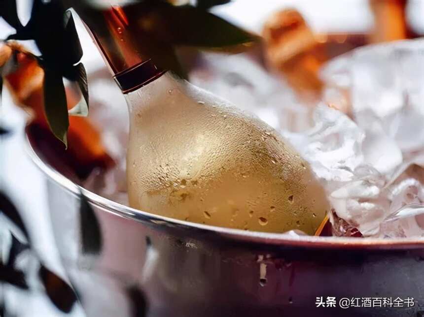 史上最簡單粗暴的葡萄酒溫度指南