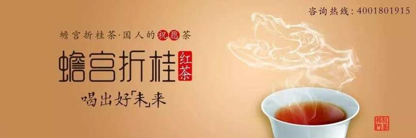 蟾宮折桂茶的前世今生