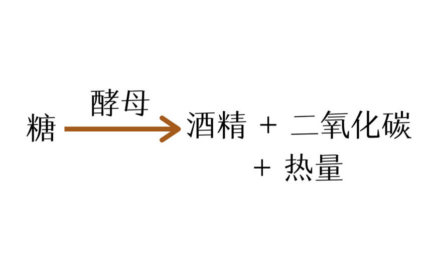 蘋果、桃、梨都能釀酒，為什么只有葡萄 C 位出道？