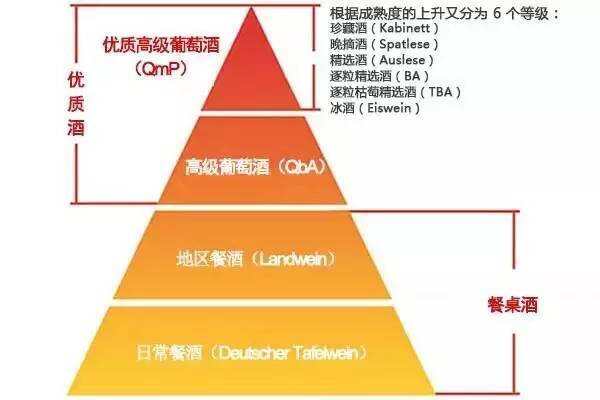 從酒標判斷一款酒價格高低