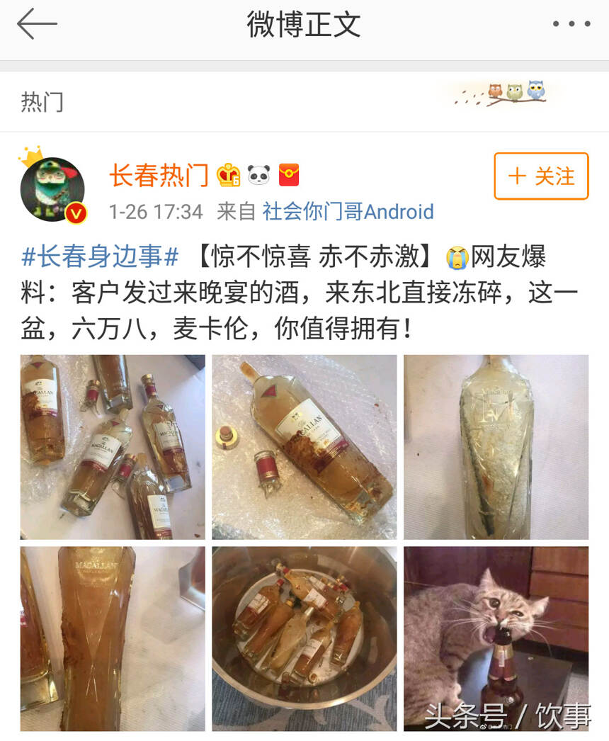 慘不忍睹，麥卡倫6.8萬慘劇能否避免？