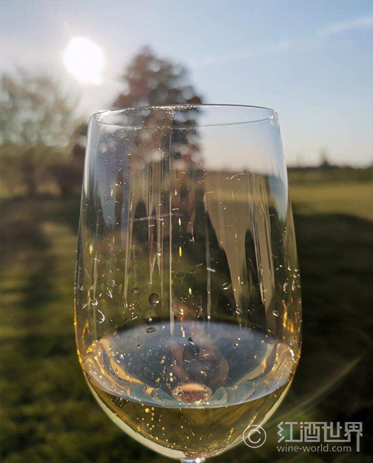 香檳與其它起泡酒的區別