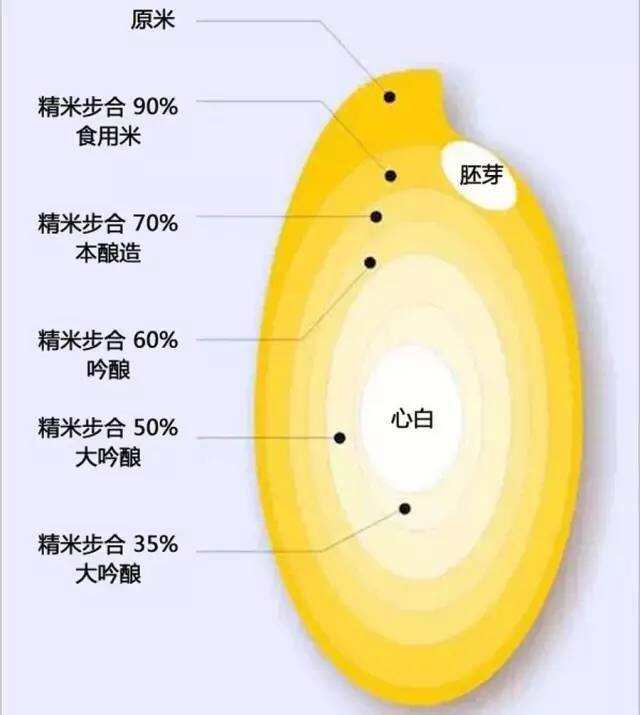 3 分鐘讀懂日本清酒