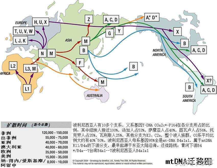 狂暴巨獸主演巨石強森賣酒！猜他石頭里賣的什么酒？