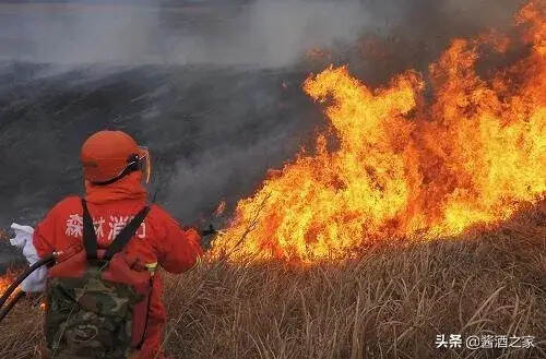 走進春風十里，牢記防火護林九個“不”！