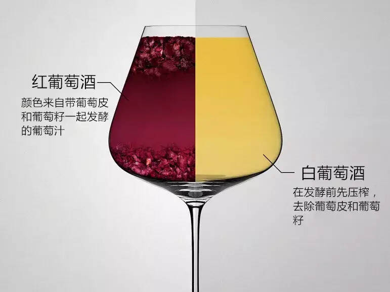 紅、白葡萄酒有什么區別？最系統的解釋在這里！