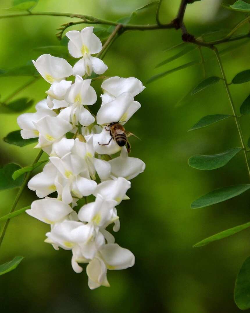 喝花酒必備基礎知識