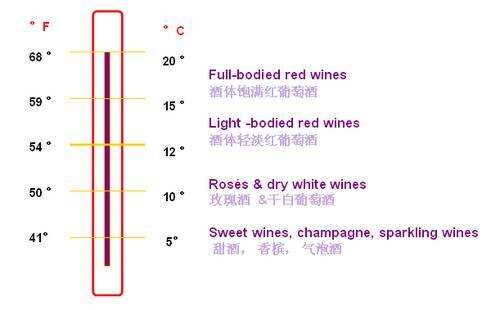 我該如何安置我的紅酒？