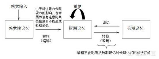 為什么醉酒的人還能認清回家的路，醒來后就不記得了？