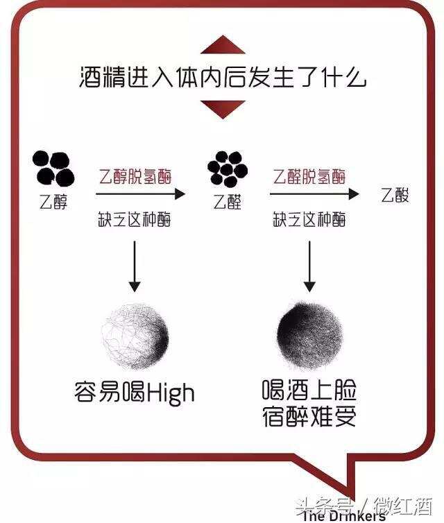 如何在酒桌上殺死你的仇人？