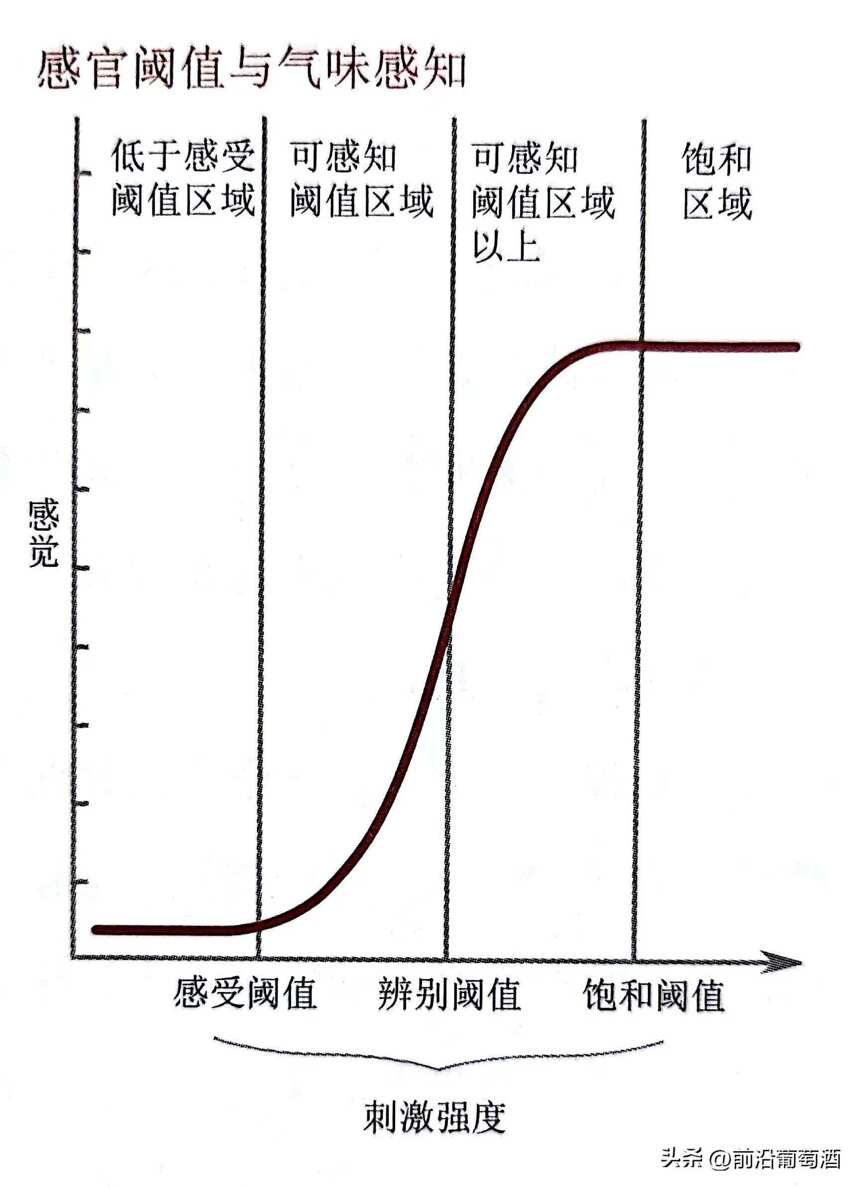 詳解感官閾值與氣味感知，感覺和刺激強度的科學