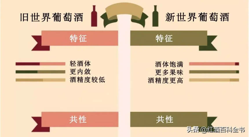 葡萄酒新舊世界 9 大區別，這才算真的弄清楚了