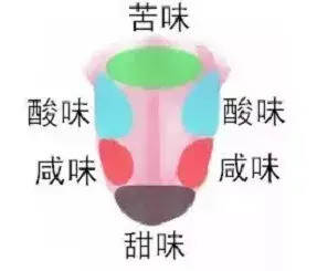 窺探葡萄酒的本