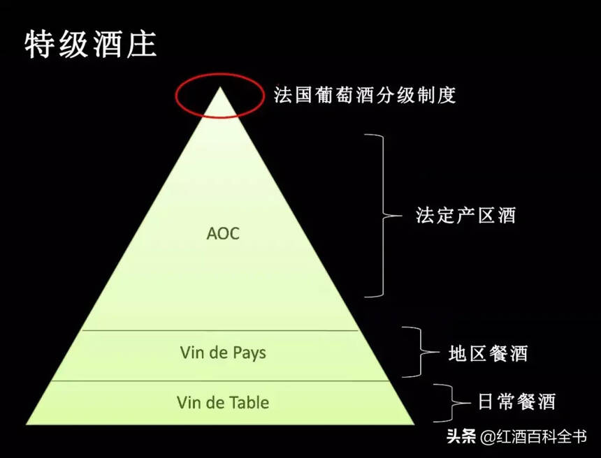 葡萄酒新舊世界 9 大區別，這才算真的弄清楚了