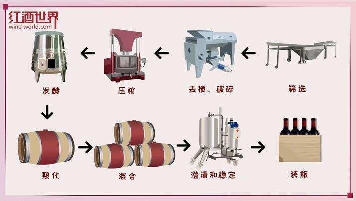 紅、白葡萄酒的釀造故事