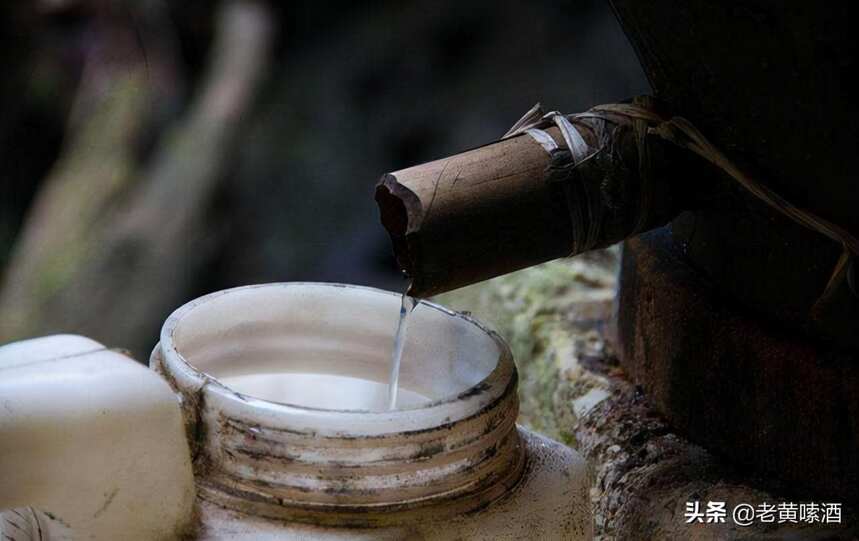 不懂怎么自釀？記住這3點，釀出健康又美味的農村糧食酒