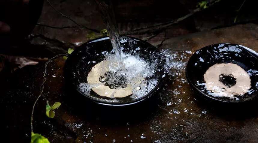 未來十年中國白酒的茅時代和牛時代