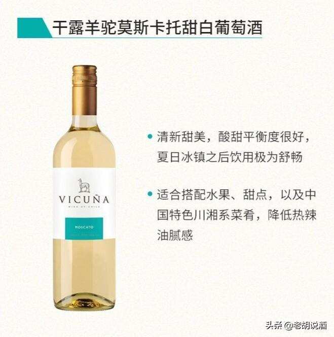 智利干露酒莊羊駝（Vicuna)葡萄酒