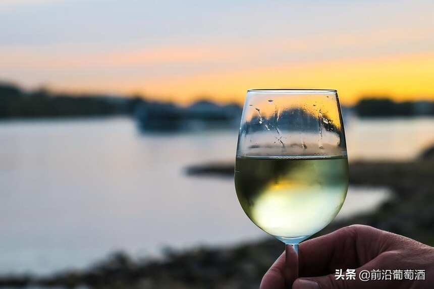 法國盧瓦爾河流域圖賴訥(TOURAINE)產區的葡萄酒簡介