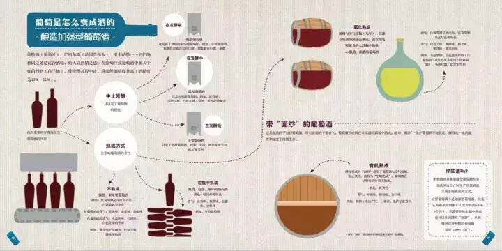 圖解｜葡萄酒到底是怎么釀造出來的？