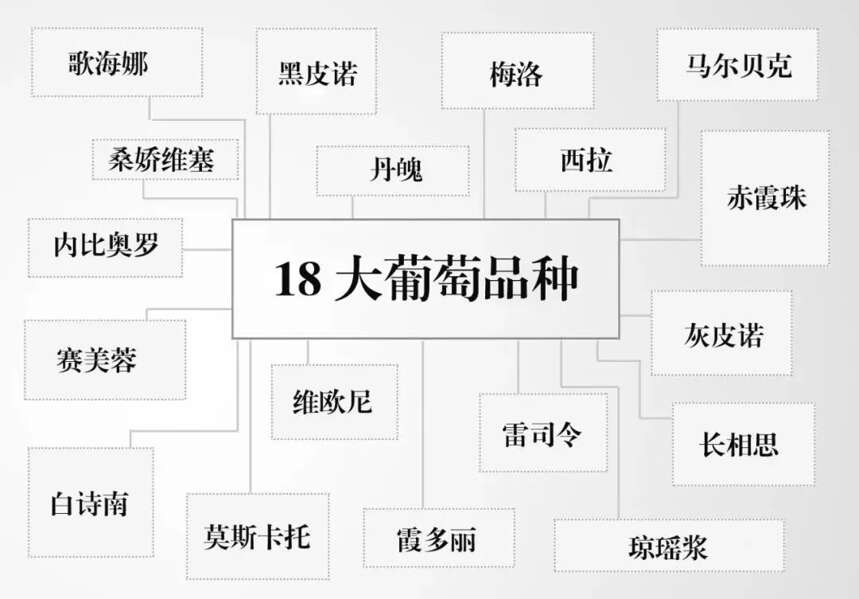 葡萄酒的世界太復雜？記住這 9 點你就入門了