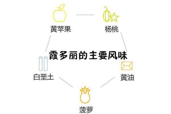 霞多麗和長相思白葡萄酒之間的區別，太全了！