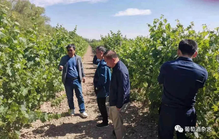 WINE 簡報 | 蘇富比在英國首次拍賣茅臺；可口可樂賣酒；胡桃里起訴“湖桃里”