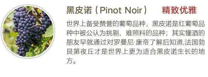 「法莊」勃艮第Pinot Noir黑皮諾