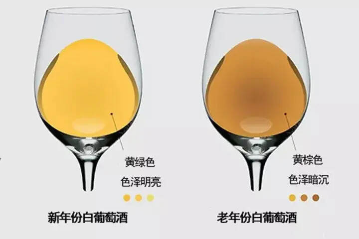 教你如何通過葡萄酒顏色判斷年份