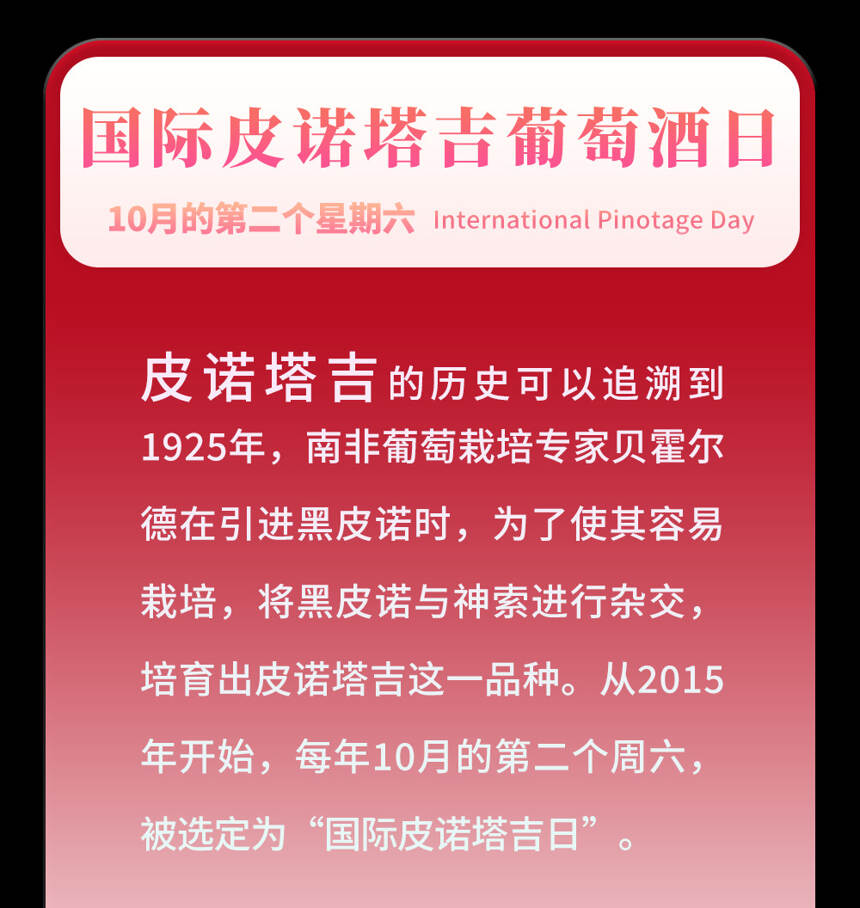 今天是國際長相思日！葡萄酒這些節日小編做了18張小卡片