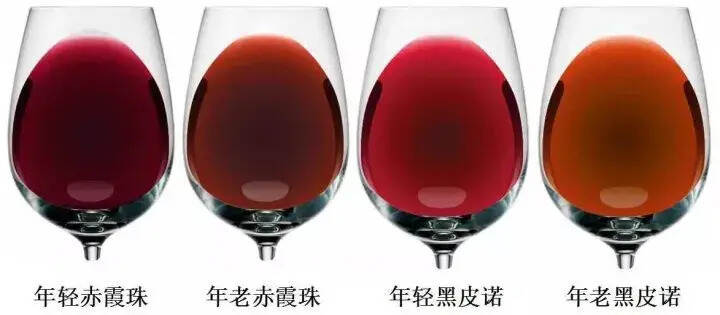 教你如何通過葡萄酒顏色判斷年份