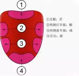 品嘗白酒有苦味是什么原因？