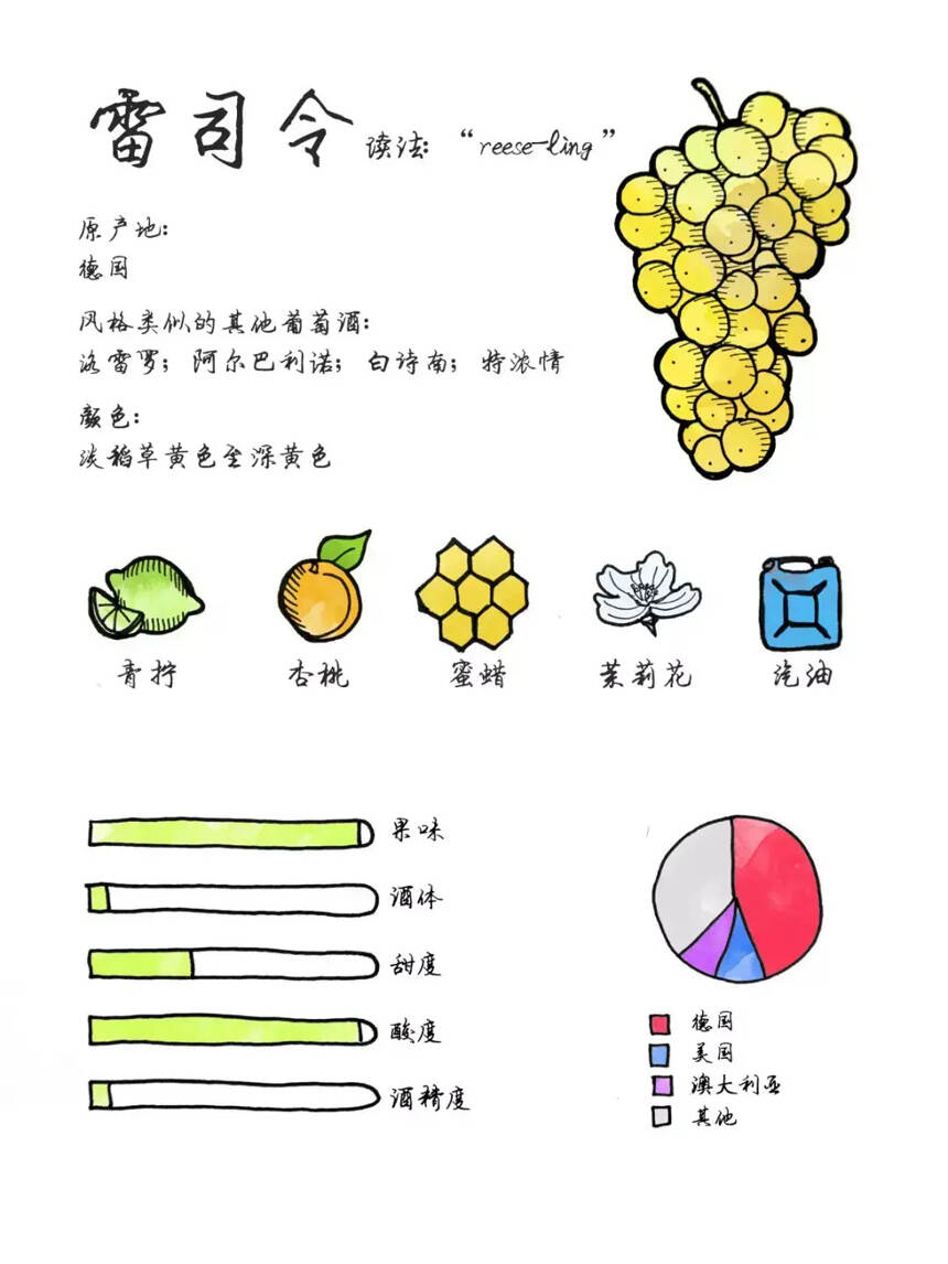 圖解20大常見葡萄品種的特點，絕對要收藏！