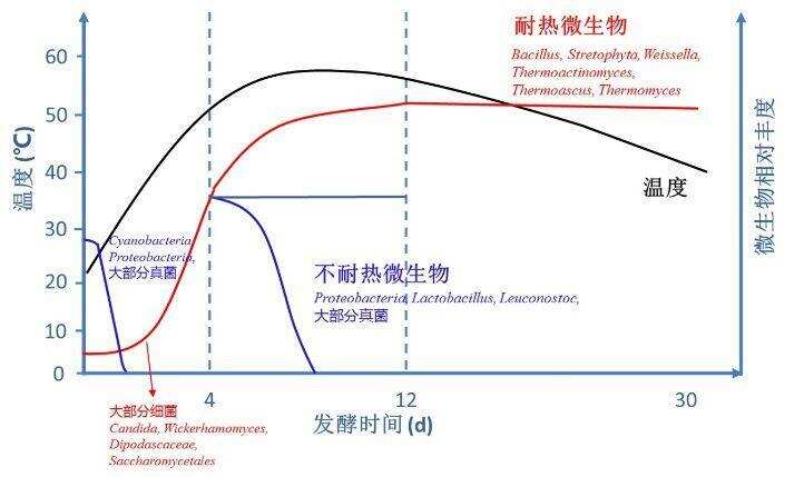 首株以“老窖”命名的新菌株從百年窖泥中分離，“老窖出好酒”多了一項科學依據