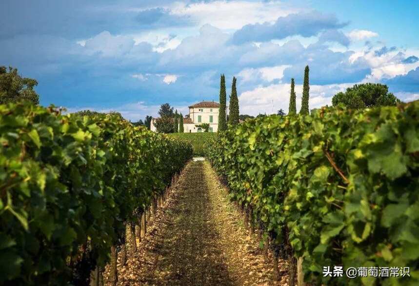 法國波爾多著名的波亞克(PAUILLAC)產區的葡萄酒簡介