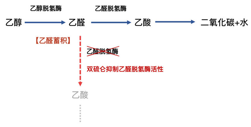 頭孢就酒，慶幸我還沒走……