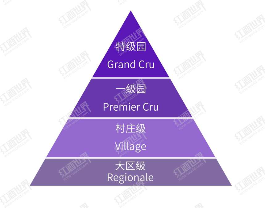 20世紀：走向國際的勃艮第