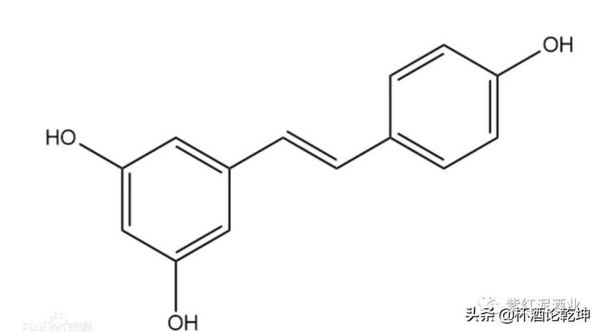 醬香酒比紅酒含有更多的健康因子