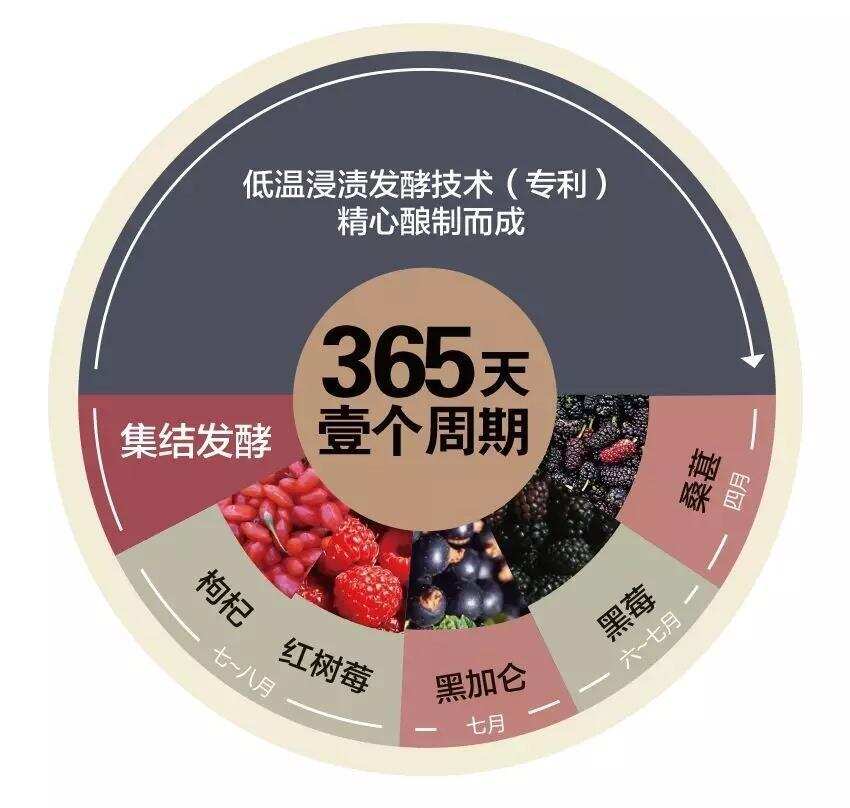 貴有貴的道理，便宜有便宜的玄機——選酒擦亮眼，看清價格背后的秘密