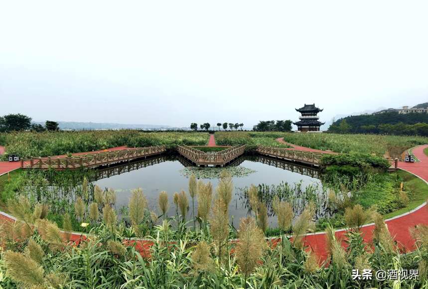 全國主流媒體宜賓白酒產區行①：探訪五糧液的“大國濃香”密碼