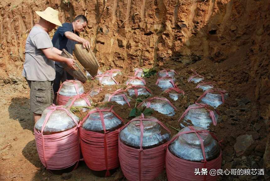 一不小心把好酒存成了毒酒！存酒的那些事你必須要知道