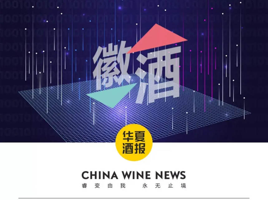 徽酒江湖：“馬太效應”背后的數據邏輯