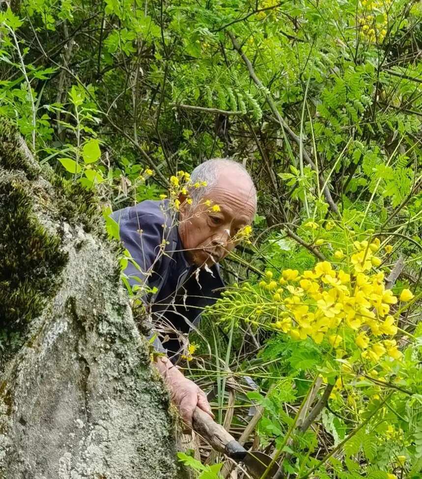 集大成者，媲美茅臺五糧液的絕世佳釀，如鳳凰涅槃，浴火重生