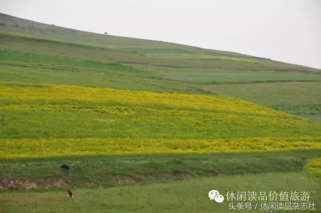 跨越兩千年，領略漢時英雄，暢想塵封的金戈之聲