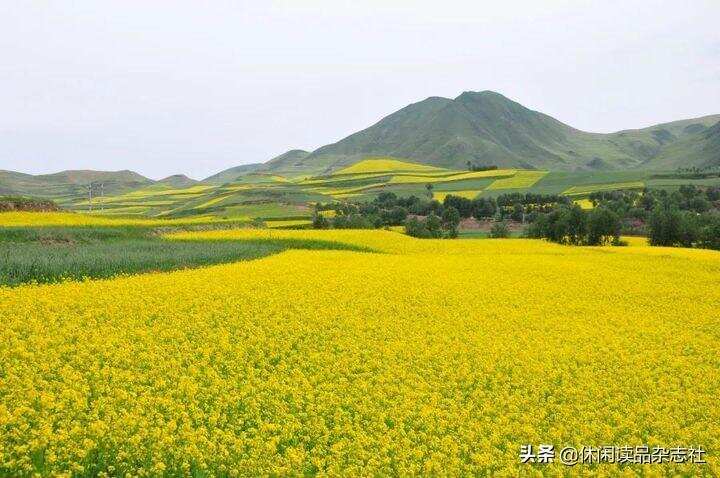 品酒筆記 || 天佑德?德天下與汾酒青花瓷30年、飛天茅臺比較