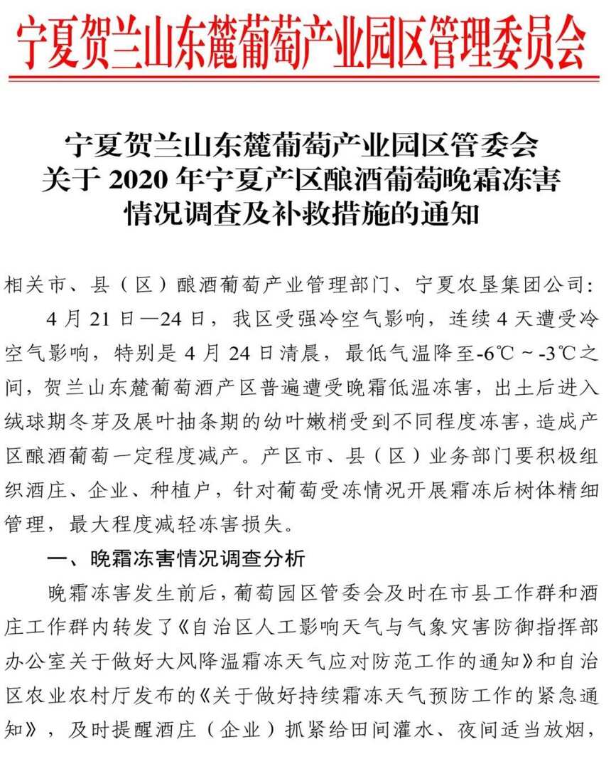 賀蘭山東麓25萬畝釀酒葡萄園遭霜凍，酒莊怎么樣了？