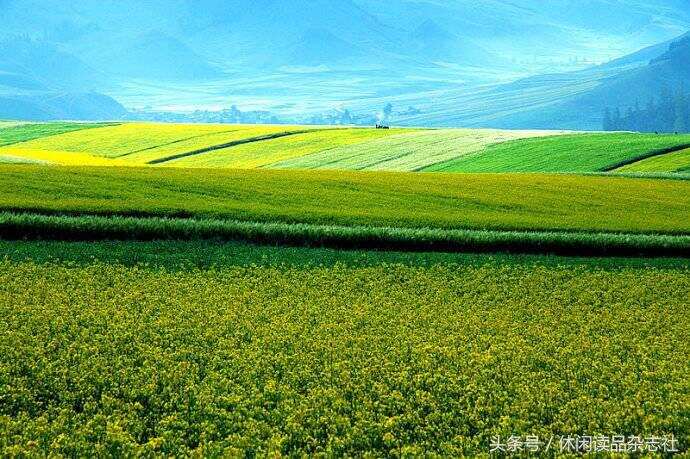 大美青海，看祁連風景茶卡鹽湖