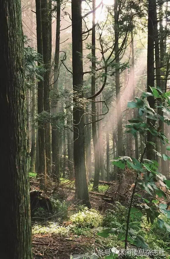 山水在心中——追隨陶淵明看山水