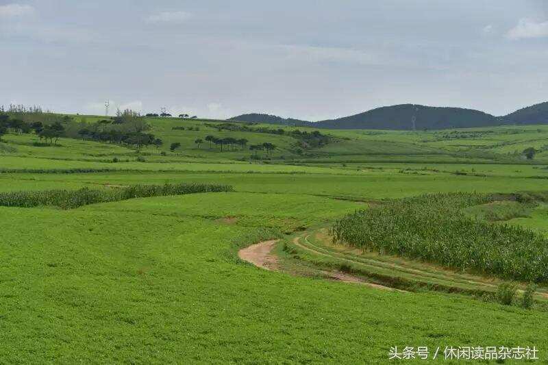 從山西大同去了內蒙，一條自己開創的路