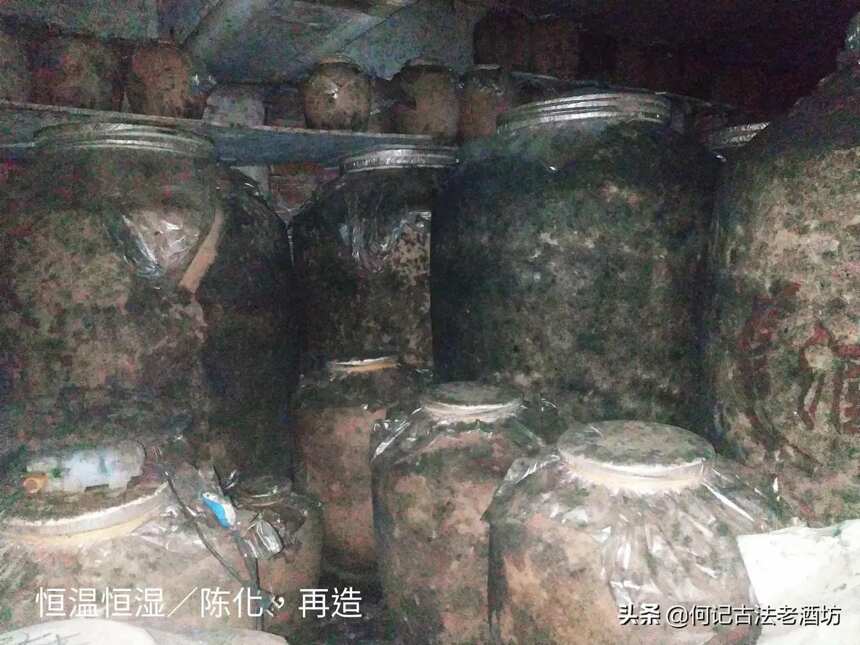 集大成者，媲美茅臺五糧液的絕世佳釀，如鳳凰涅槃，浴火重生